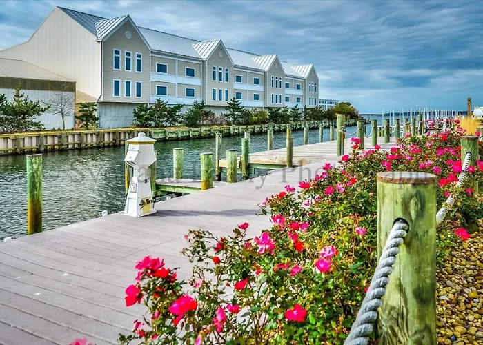 3 Bedroom Sunset Island With Outdoor Pool & Private Beach! * Ocean City